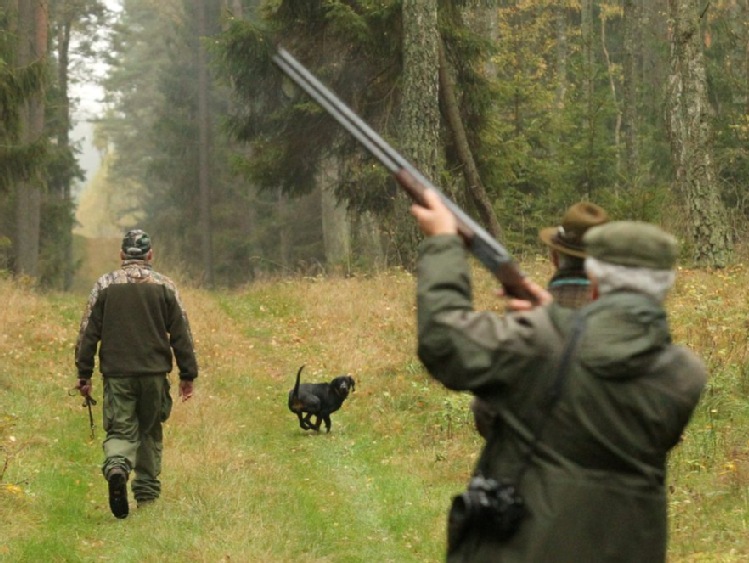 Powołano podkomisję do pracy nad projektem Prawa łowieckiego